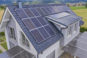 como preservar o meio ambiente