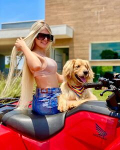 animais de estimação